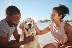 How to Bond With Your Pet